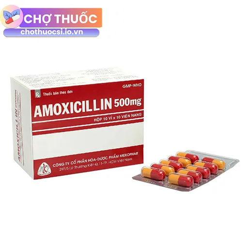 Amoxicillin 500mg Mekophar