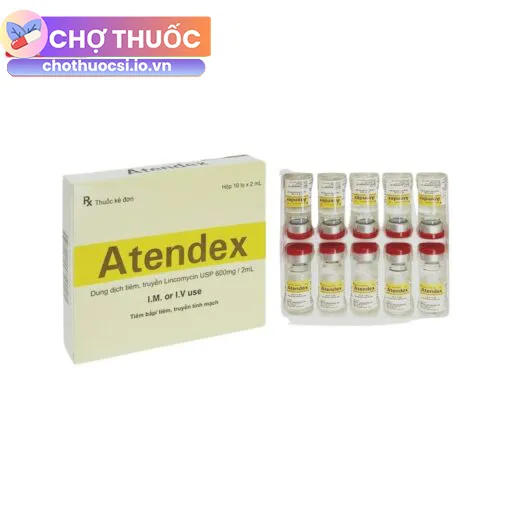 Atendex 600mg/2ml