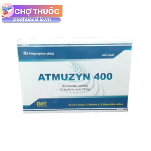 Atmuzyn 400
