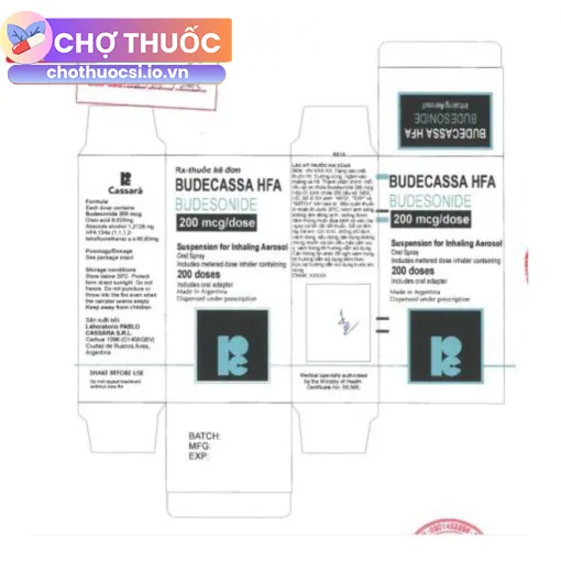 Budecassa HFA