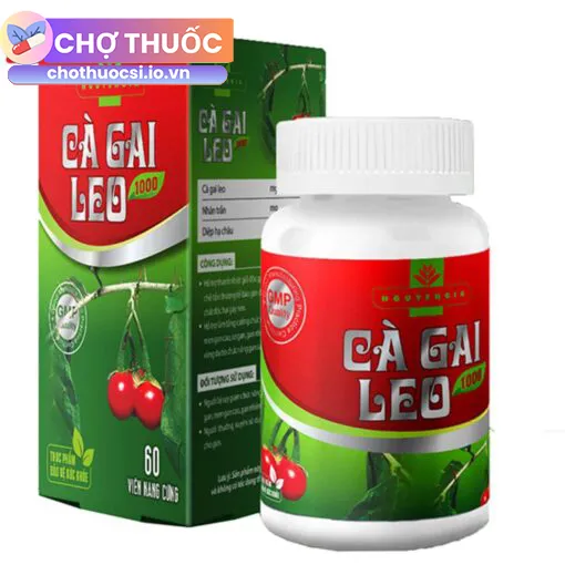 Cà Gai Leo 1000