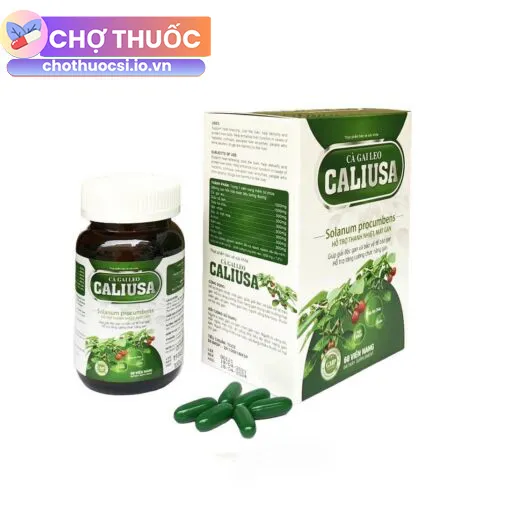 Cà gai leo Cali USA