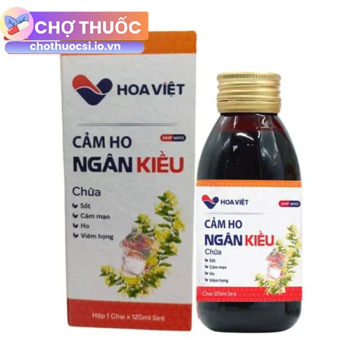 Cảm Ho Ngân Kiều (Chai 120ml)