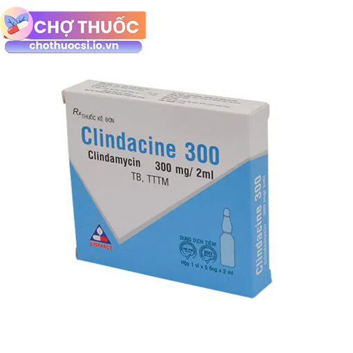 Clindacine 300