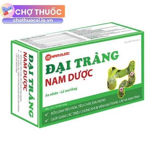 Đại Tràng Nam Dược