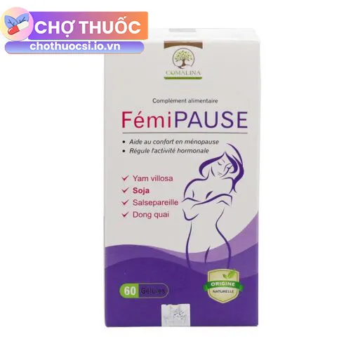 Fémi Pause