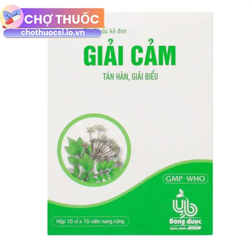 Giải Cảm Bepharco (Hộp 10 vỉ x 10 viên)
