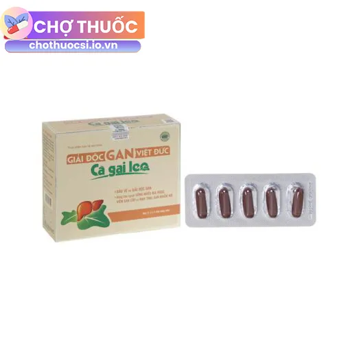 Giải độc gan Việt Đức Cà Gai Leo