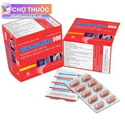Glucosamine 500 Boston