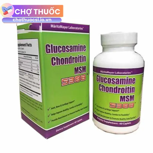 Glucosamine Chondroitin MSM 5388