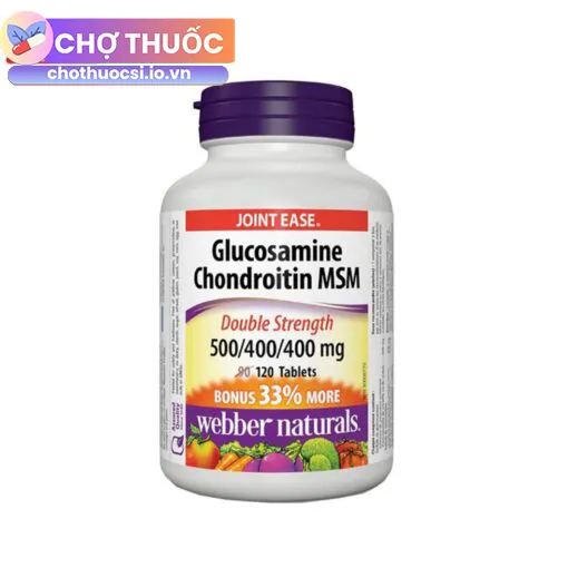 Glucosamine Chondroitin MSM Joint Ease