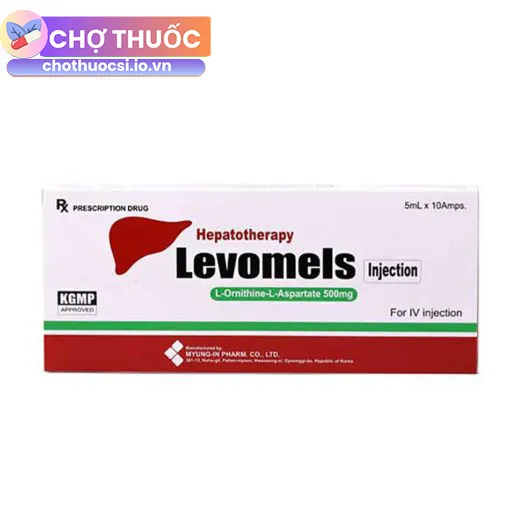 Levomels Injection