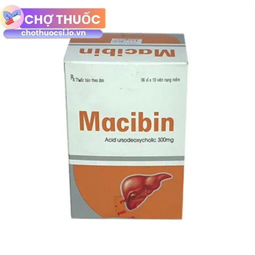 Macibin