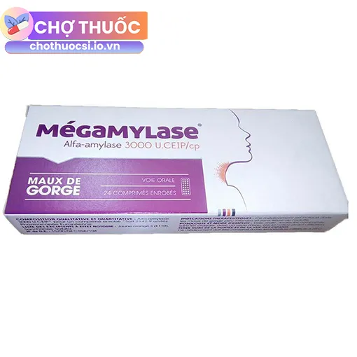 Megamylase