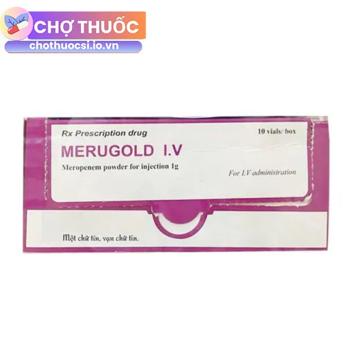Merugold I.V