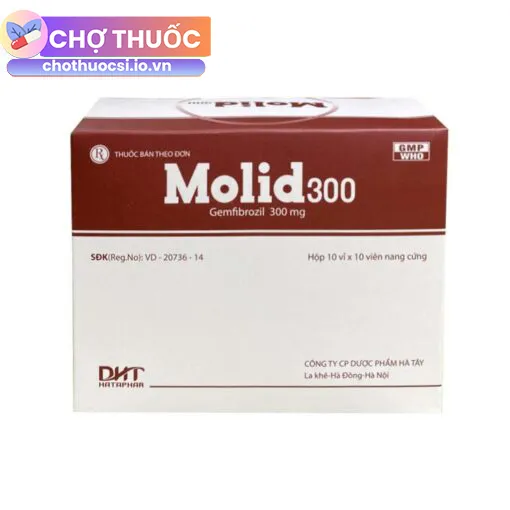 Molid 300