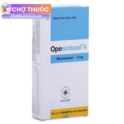 Opesinkast 4