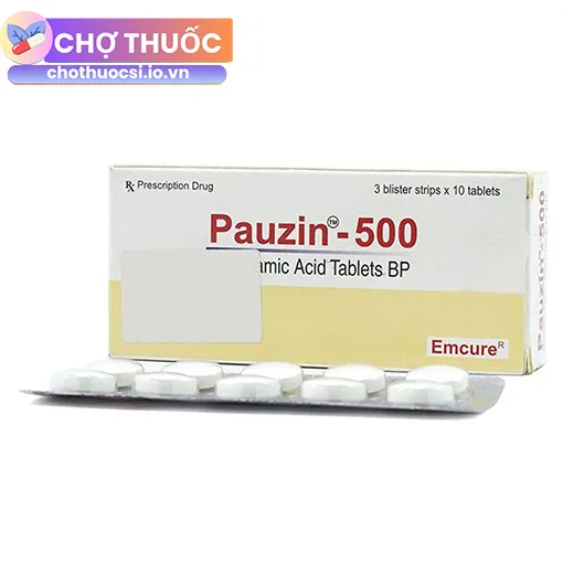 Pauzin-500