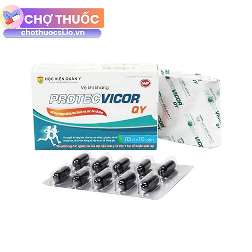Vệ khí khang Protect Vicor QY