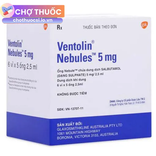 Ventolin Nebules 5mg/2,5ml