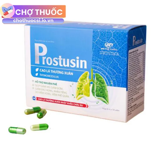 Viên Nhuận Phế Prostusin